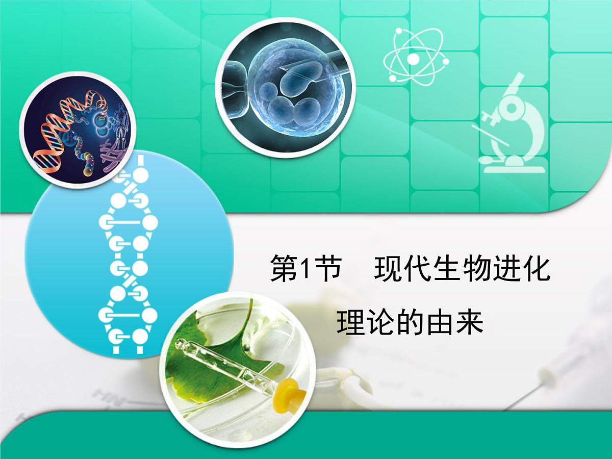 人教版 (新课标)高中生物必修2 7-1《现代生物进化理论的由来》复习课件第1页