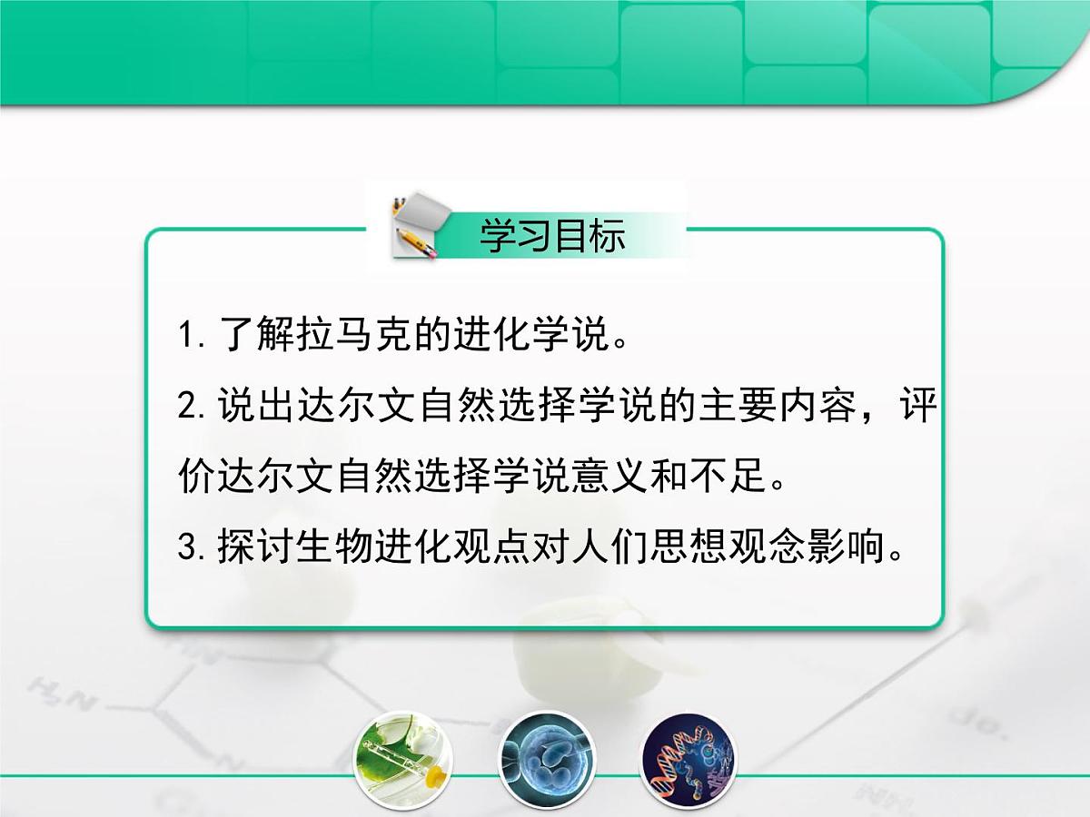 人教版 (新课标)高中生物必修2 7-1《现代生物进化理论的由来》复习课件第2页