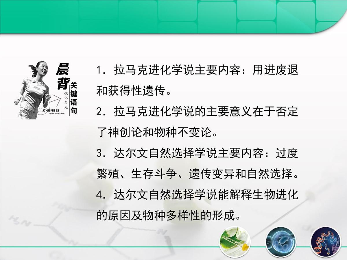 人教版 (新课标)高中生物必修2 7-1《现代生物进化理论的由来》复习课件第3页