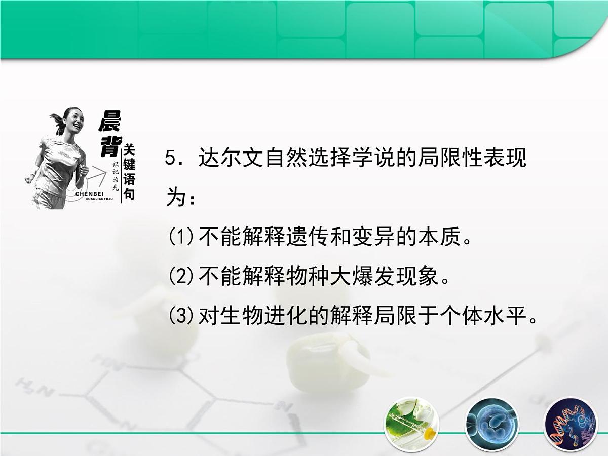 人教版 (新课标)高中生物必修2 7-1《现代生物进化理论的由来》复习课件第4页