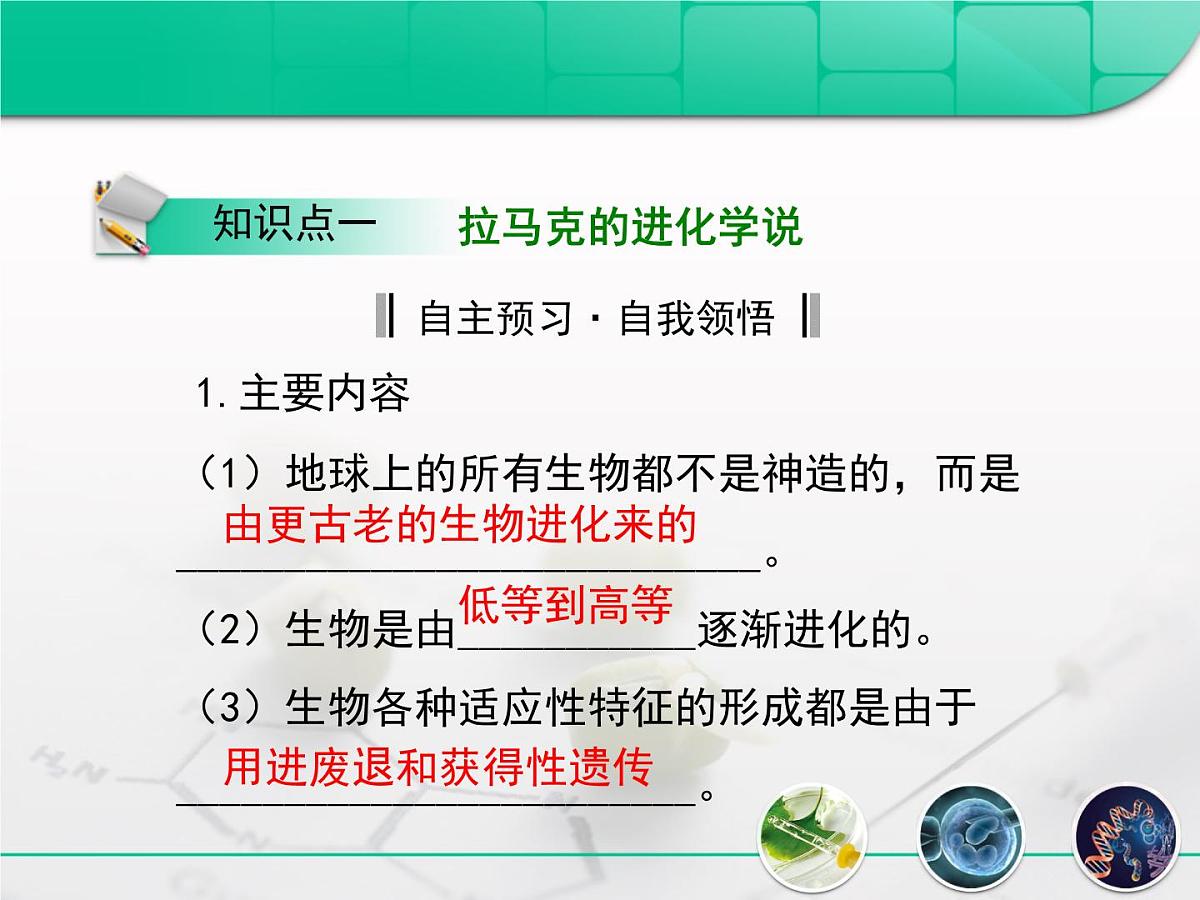 人教版 (新课标)高中生物必修2 7-1《现代生物进化理论的由来》复习课件第5页