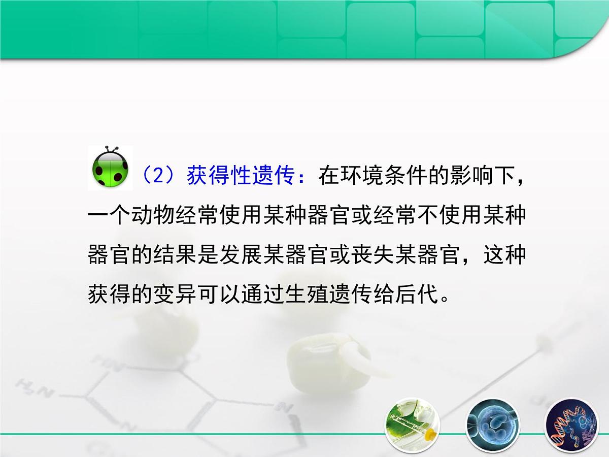 人教版 (新课标)高中生物必修2 7-1《现代生物进化理论的由来》复习课件第8页