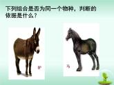 人教版 (新課標(biāo))高中生物必修2 7-2-2《隔離與物種的形成》課件