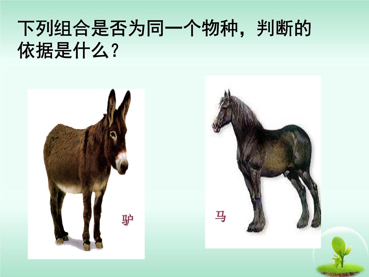 人教版 (新课标)高中生物必修2 7-2-2《隔离与物种的形成》课件第3页