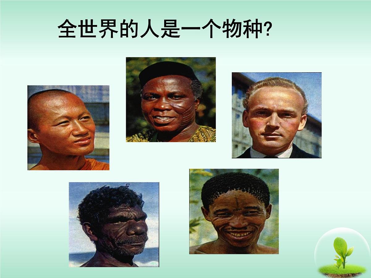 人教版 (新课标)高中生物必修2 7-2-2《隔离与物种的形成》课件第7页