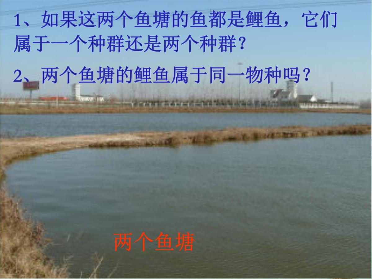 人教版 (新课标)高中生物必修2 7-2-2《隔离与物种的形成》课件第8页