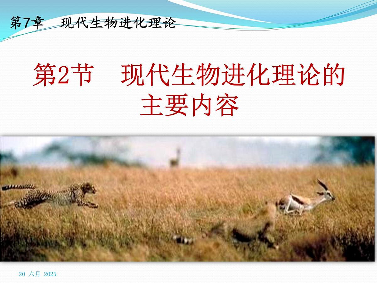 人教版 (新课标)高中生物必修2 7-2-1《种群基因频率的改变与生物进化》课件第1页