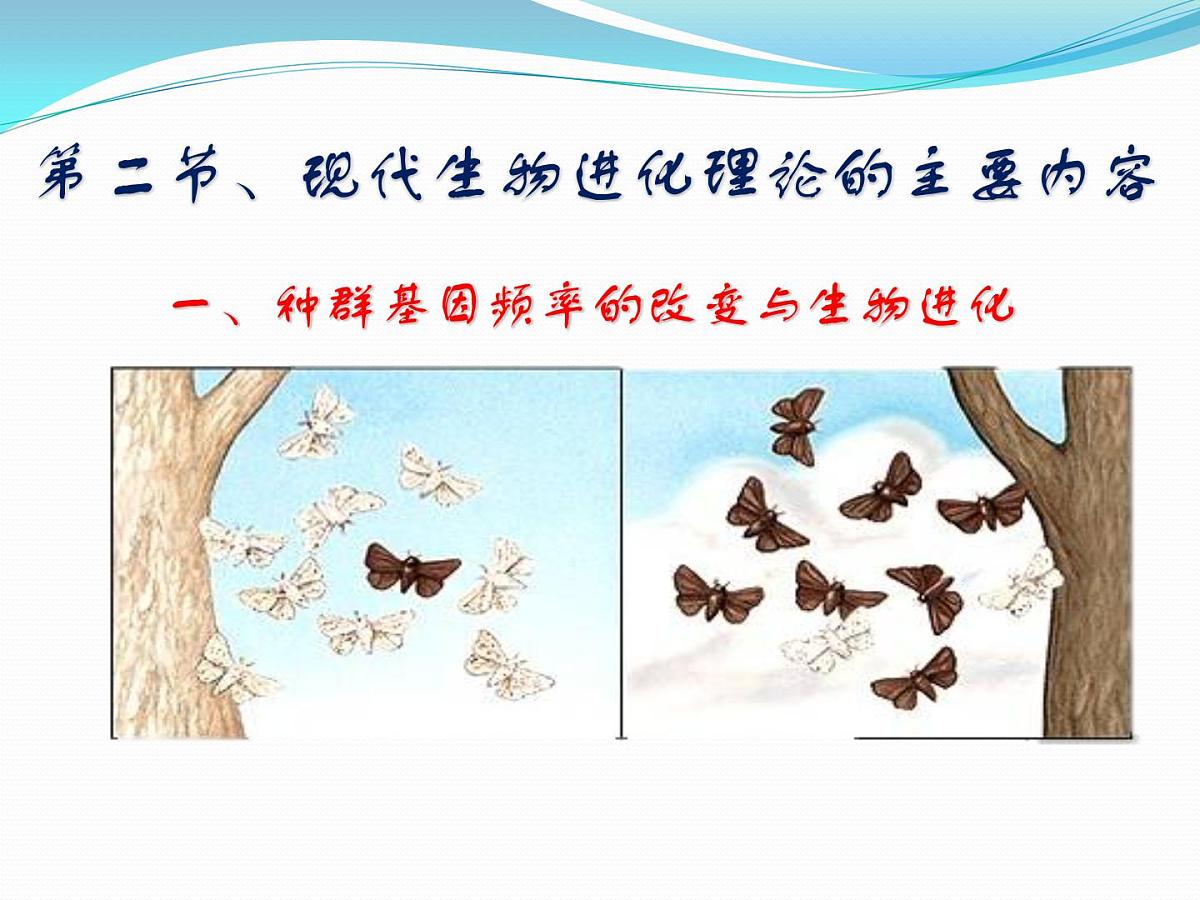 人教版 (新课标)高中生物必修2 7-2-1《种群基因频率的改变与生物进化》课件第2页