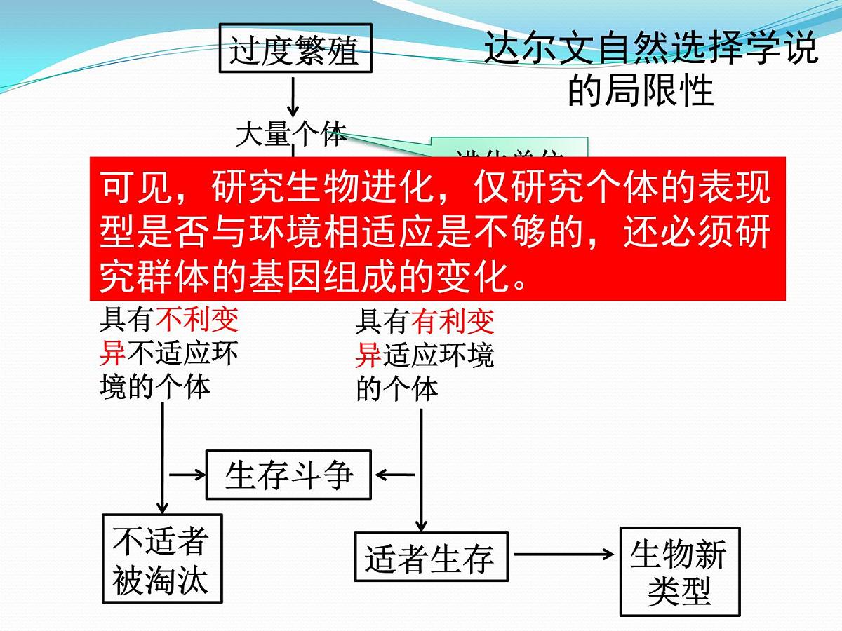人教版 (新课标)高中生物必修2 7-2-1《种群基因频率的改变与生物进化》课件第5页