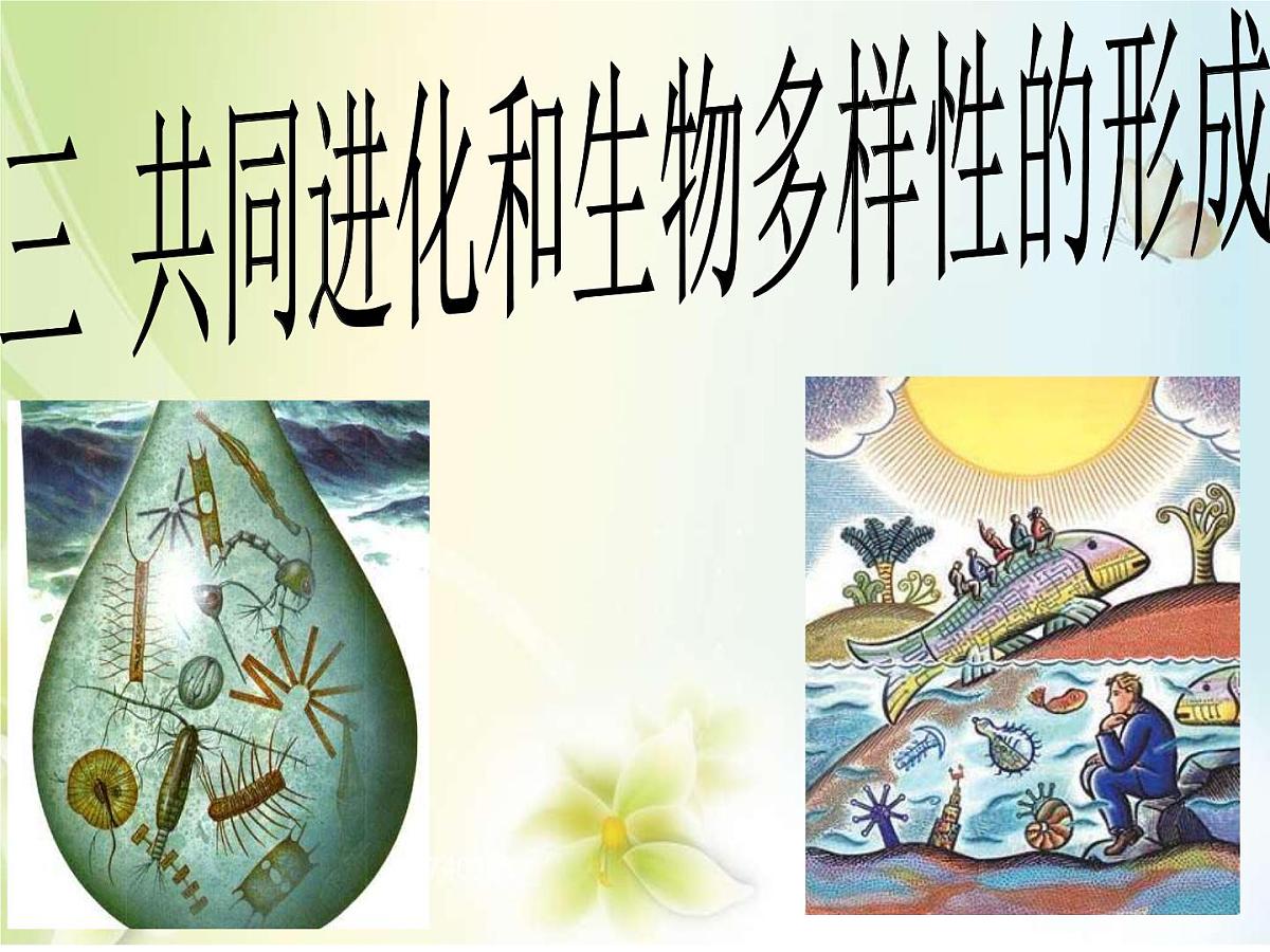 人教版 (新课标)高中生物必修2 7-2-3《共同进化与生物多样性的形成》课件第1页
