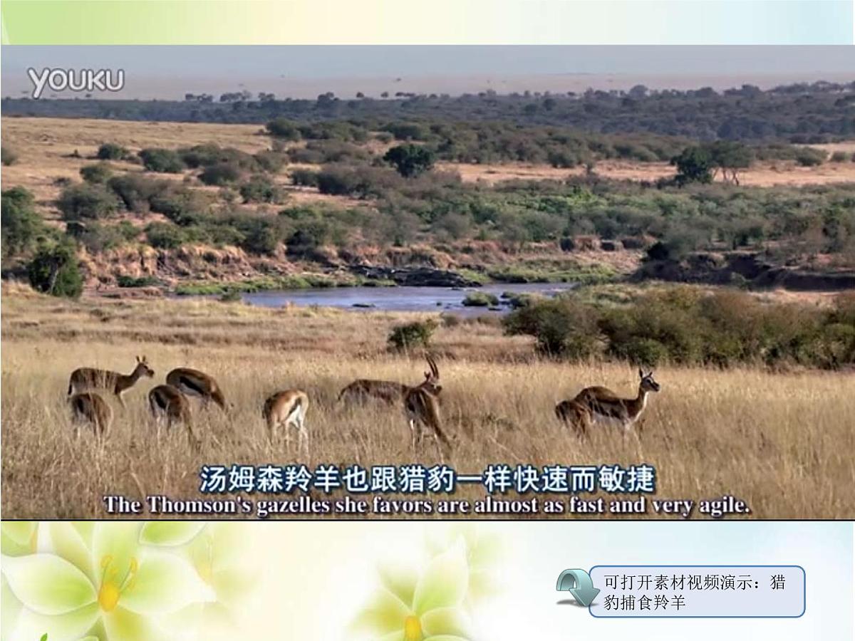 人教版 (新课标)高中生物必修2 7-2-3《共同进化与生物多样性的形成》课件第2页