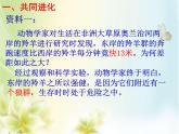 人教版 (新課標(biāo))高中生物必修2 7-2-3《共同進(jìn)化與生物多樣性的形成》課件