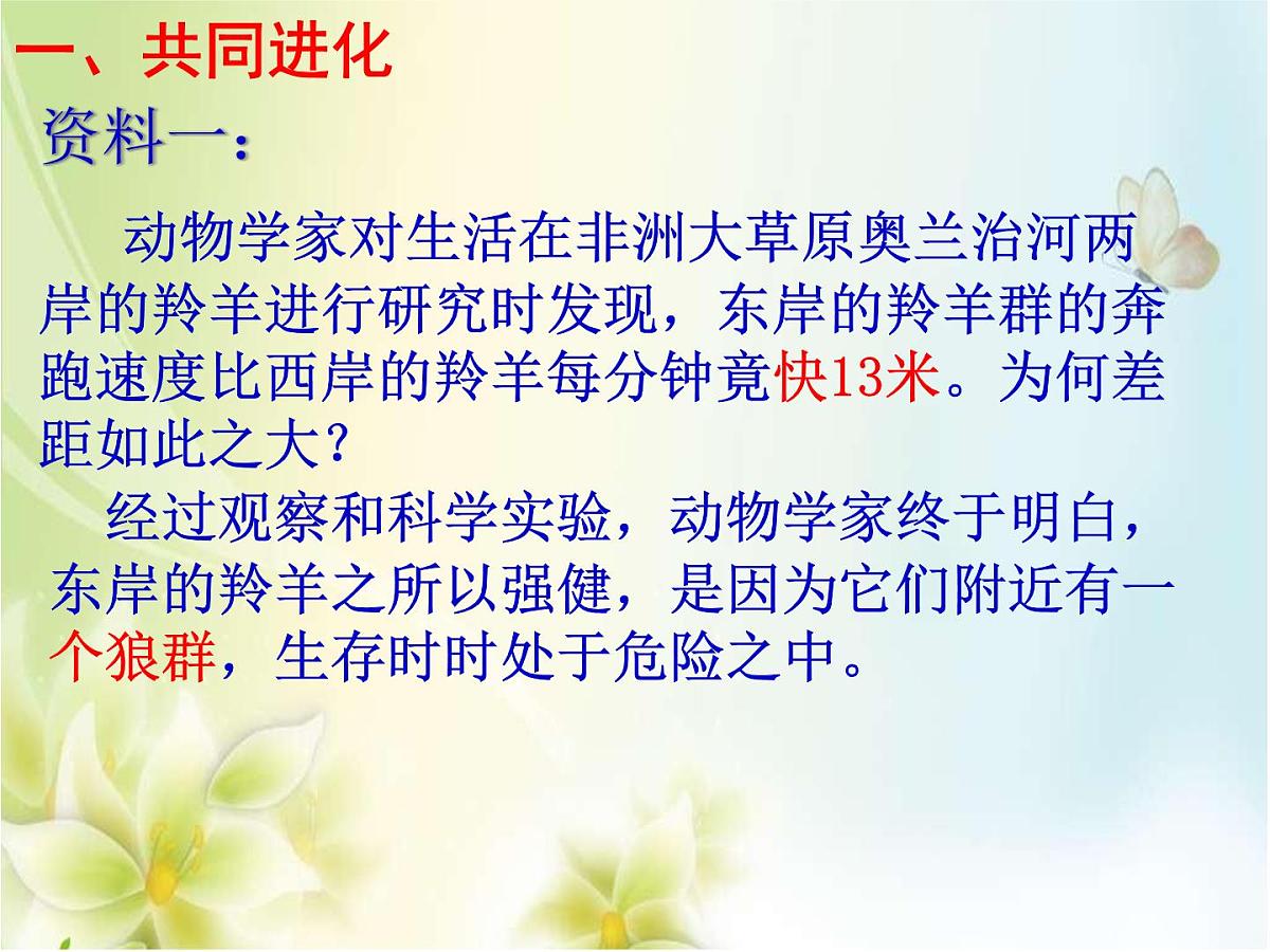 人教版 (新课标)高中生物必修2 7-2-3《共同进化与生物多样性的形成》课件第3页