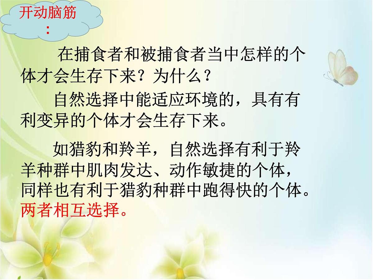 人教版 (新课标)高中生物必修2 7-2-3《共同进化与生物多样性的形成》课件第5页