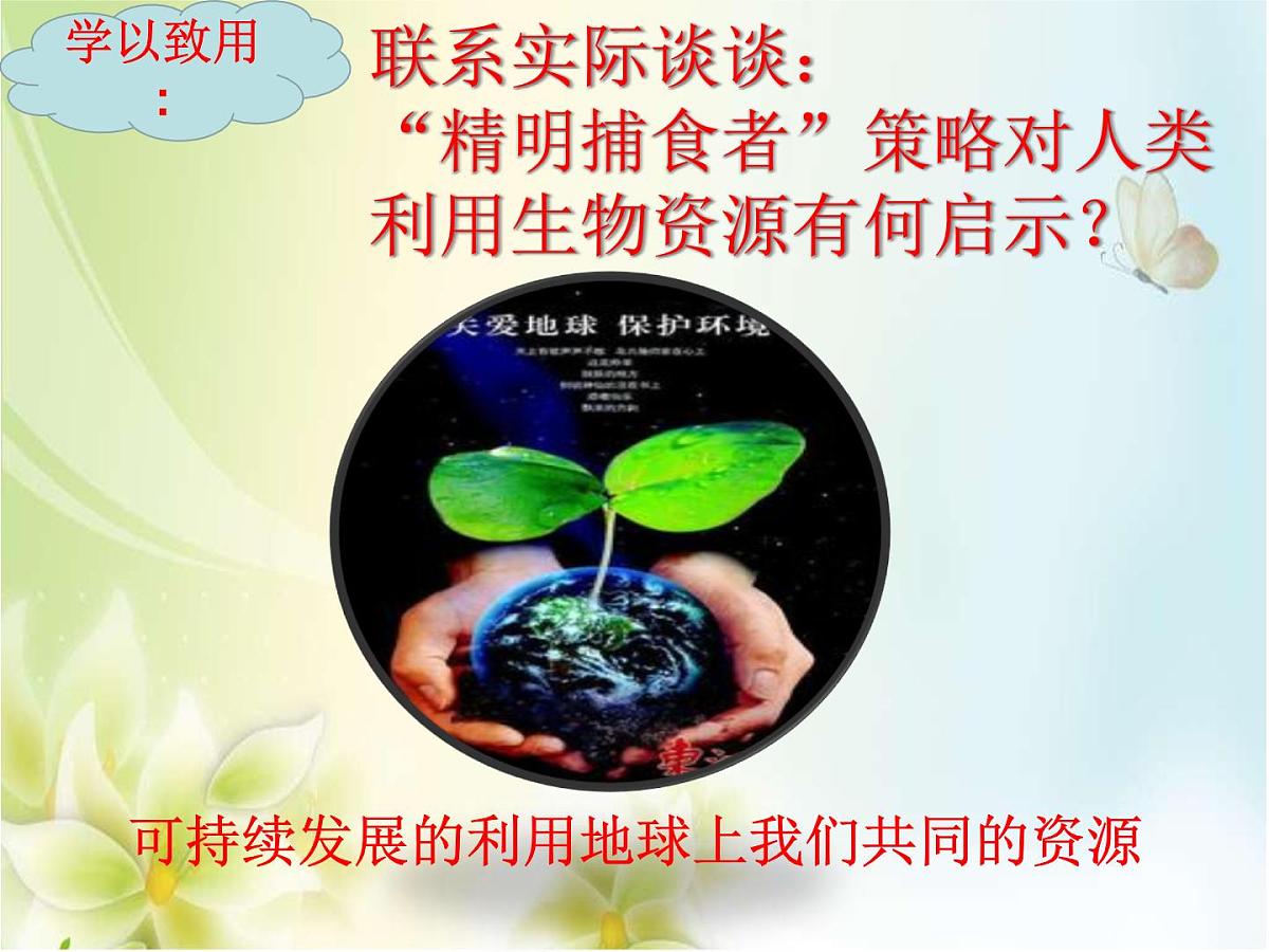 人教版 (新课标)高中生物必修2 7-2-3《共同进化与生物多样性的形成》课件第7页