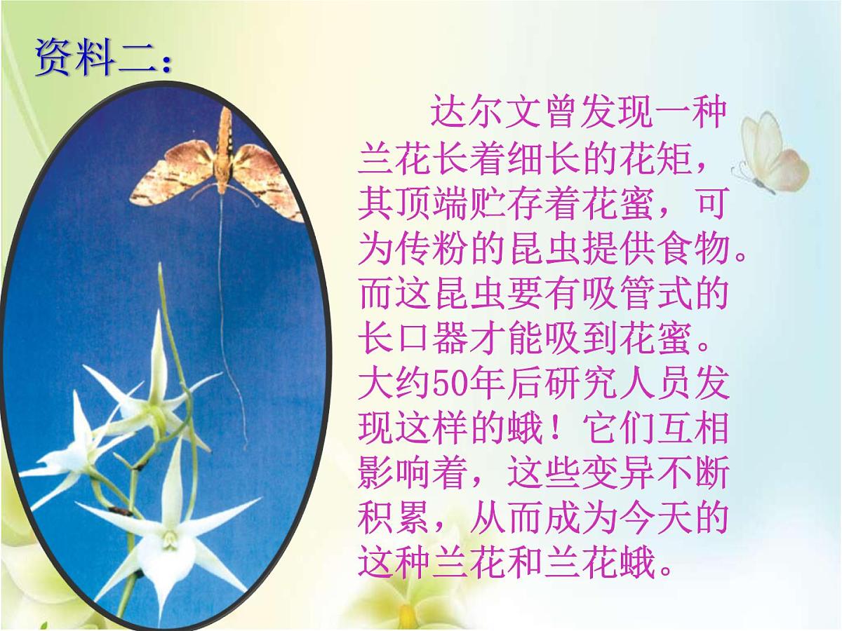 人教版 (新课标)高中生物必修2 7-2-3《共同进化与生物多样性的形成》课件第8页