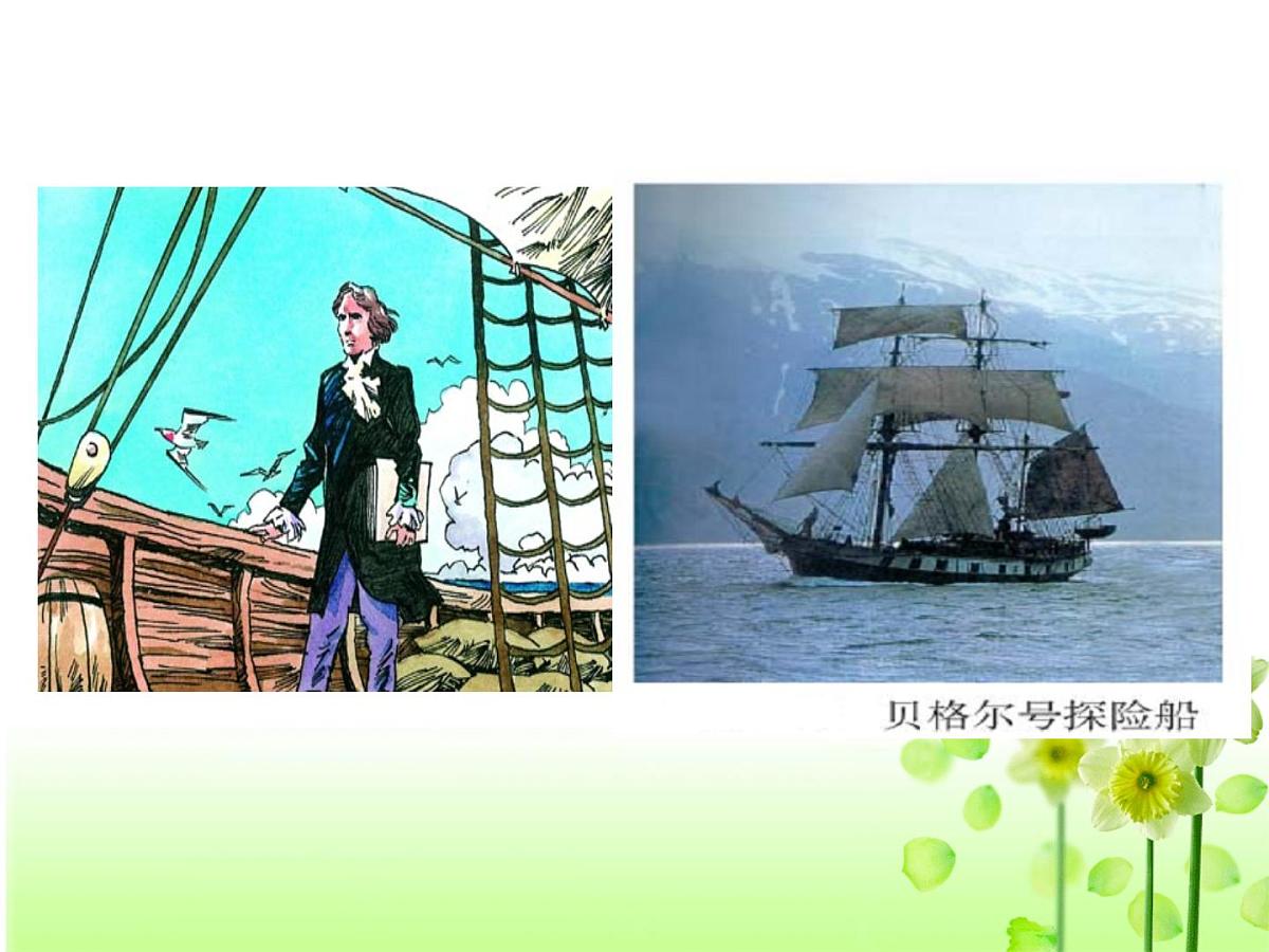 人教版 (新课标)高中生物必修2 7-2-2《隔离与物种的形成》课件第3页