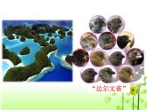 人教版 (新課標(biāo))高中生物必修2 7-2-2《隔離與物種的形成》課件