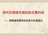 人教版 (新課標(biāo))高中生物必修2 7-2-1《種群基因頻率的改變與生物進(jìn)化》課件