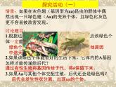 人教版 (新課標(biāo))高中生物必修2 7-2-1《種群基因頻率的改變與生物進(jìn)化》課件