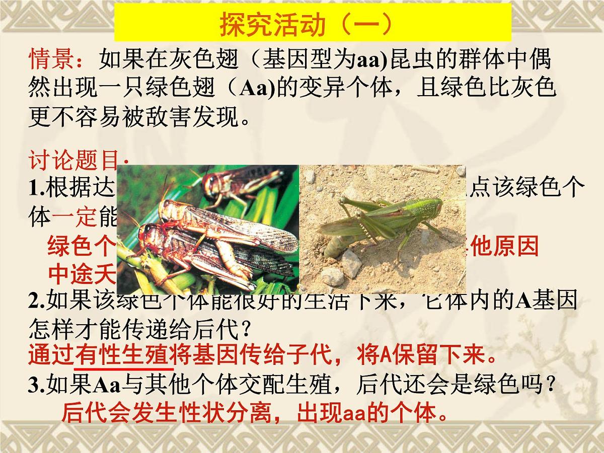 人教版 (新课标)高中生物必修2 7-2-1《种群基因频率的改变与生物进化》课件第2页