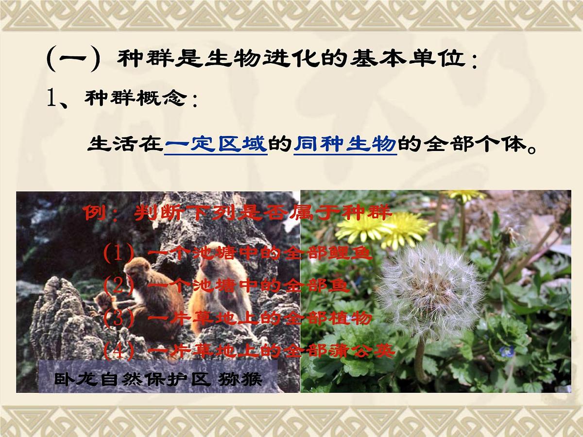 人教版 (新课标)高中生物必修2 7-2-1《种群基因频率的改变与生物进化》课件第4页