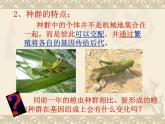 人教版 (新課標(biāo))高中生物必修2 7-2-1《種群基因頻率的改變與生物進(jìn)化》課件