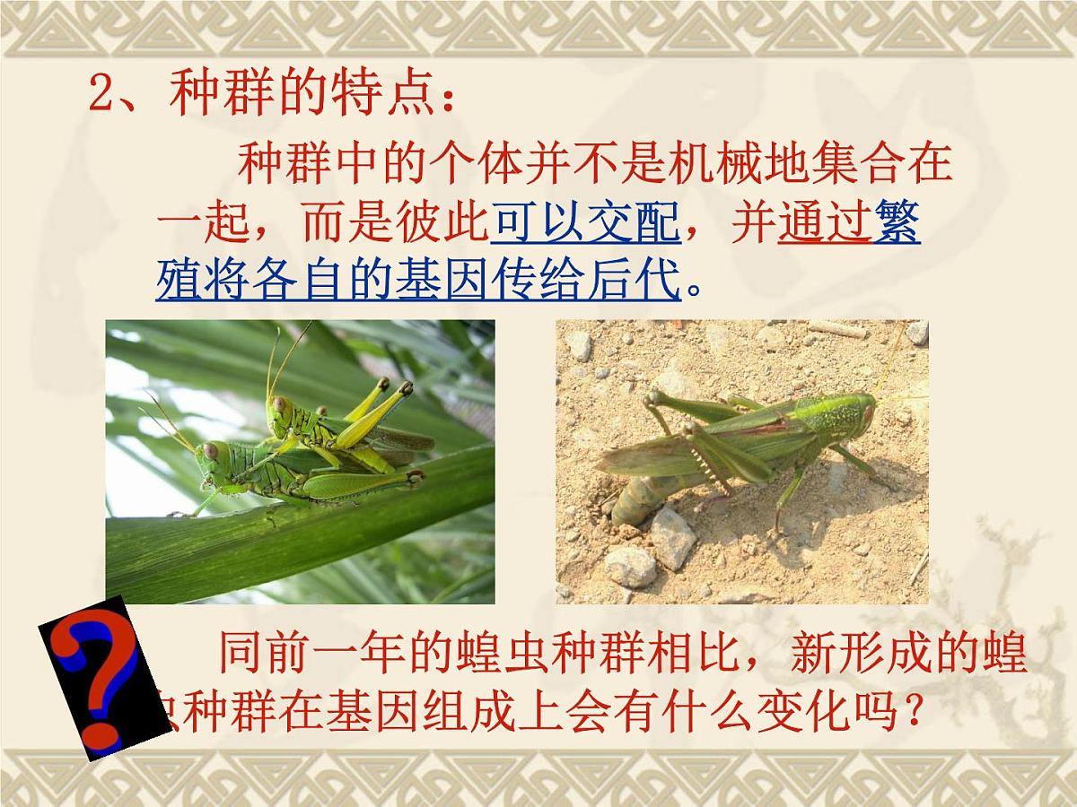 人教版 (新课标)高中生物必修2 7-2-1《种群基因频率的改变与生物进化》课件第5页