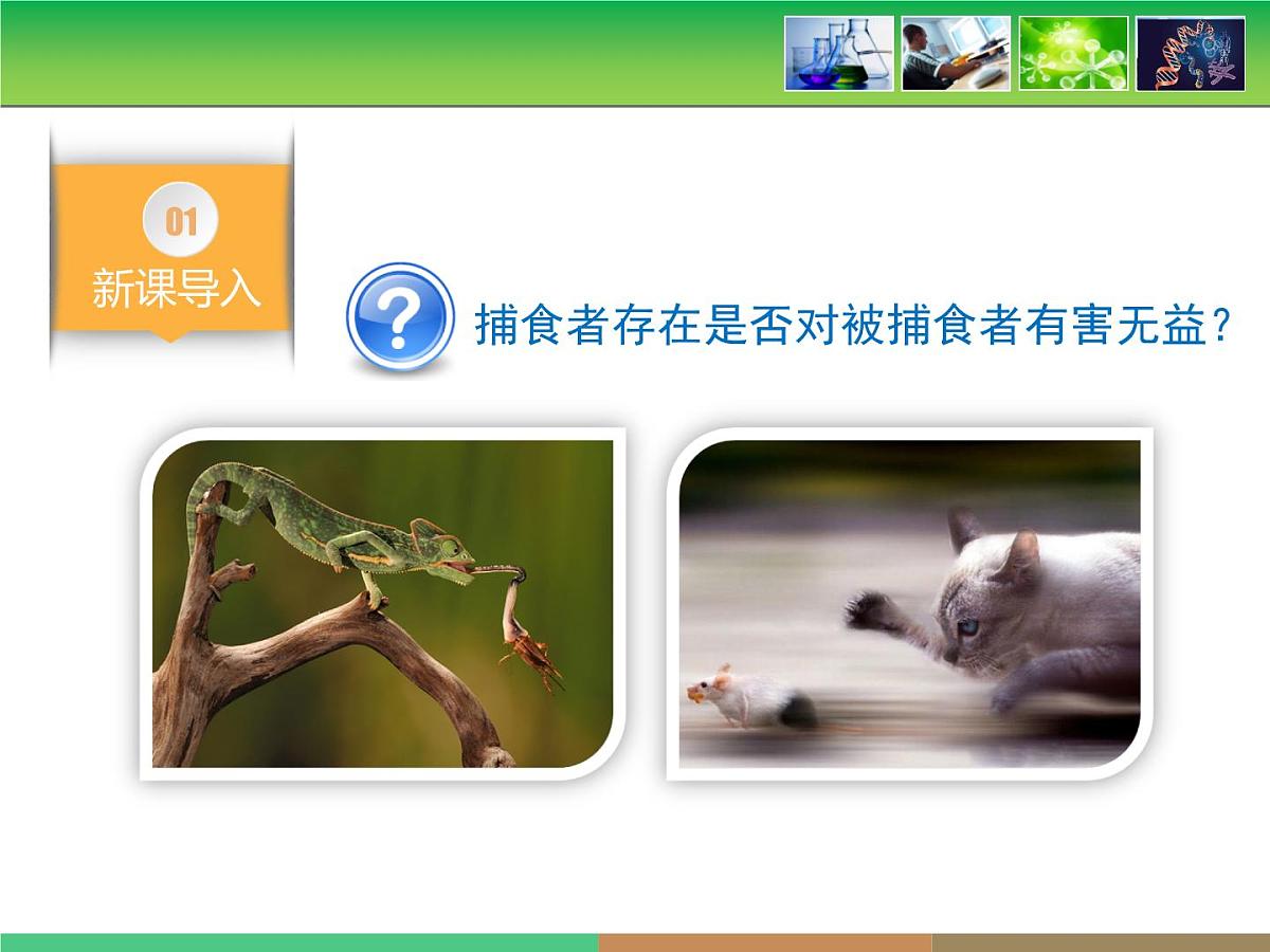 人教版 (新课标)高中生物必修2 第七章《现代生物进化理论的主要内容》第3课时课件第3页