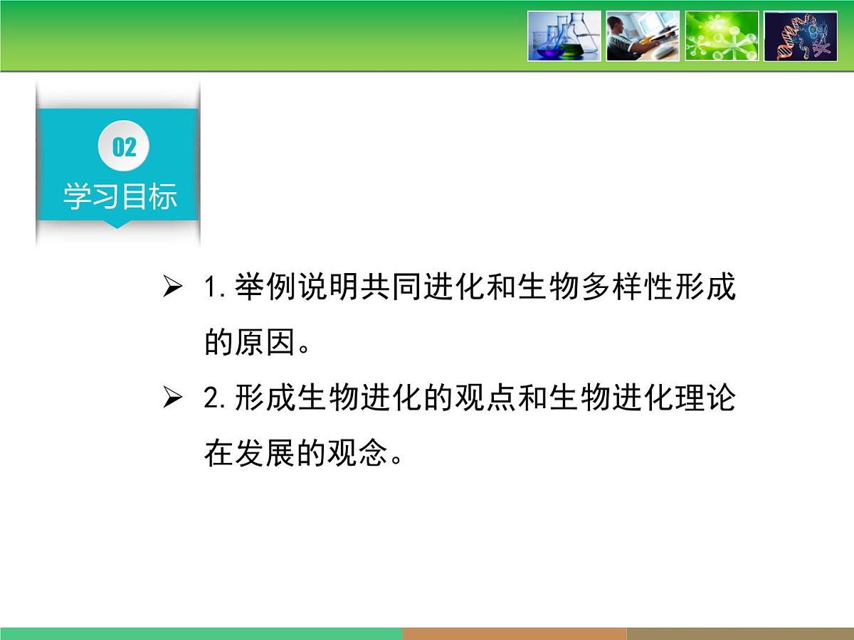人教版 (新课标)高中生物必修2 第七章《现代生物进化理论的主要内容》第3课时课件第4页