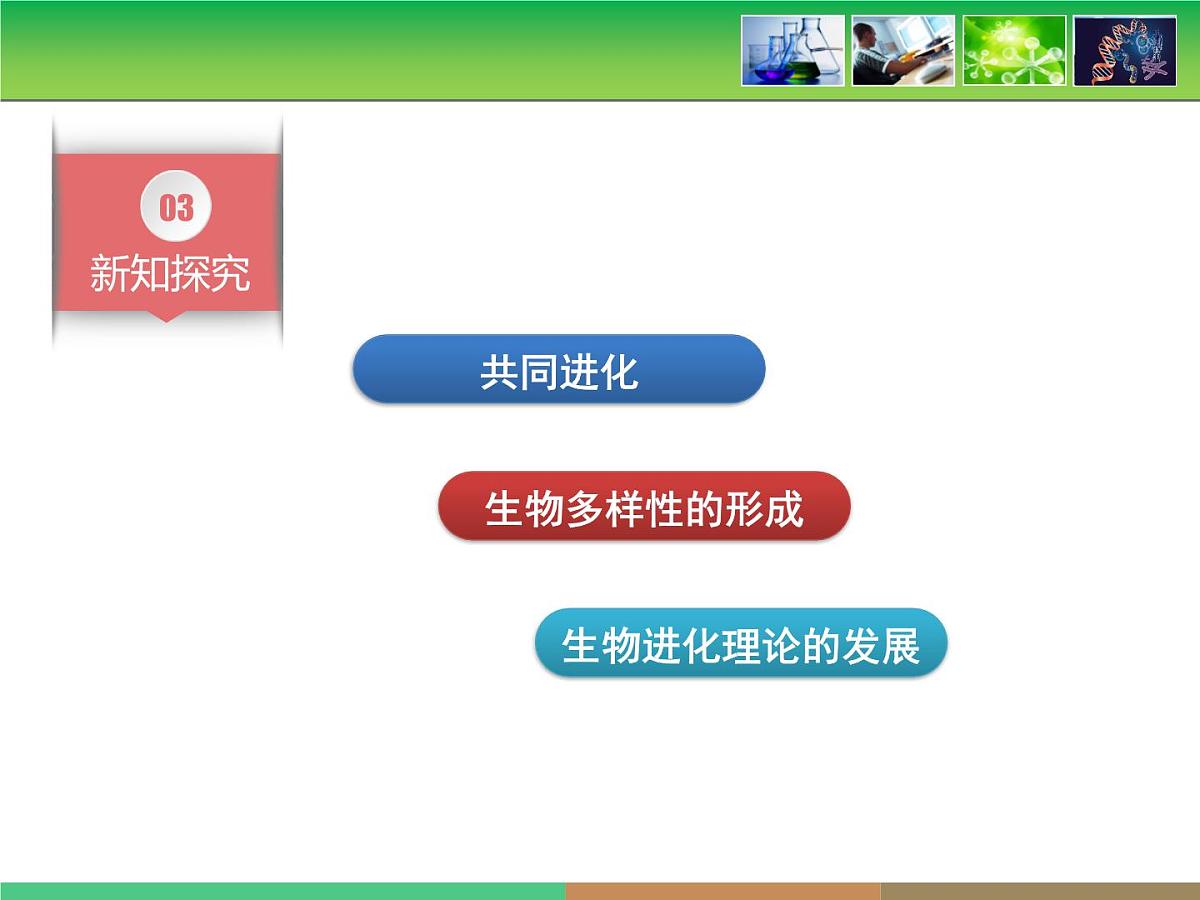 人教版 (新课标)高中生物必修2 第七章《现代生物进化理论的主要内容》第3课时课件第5页