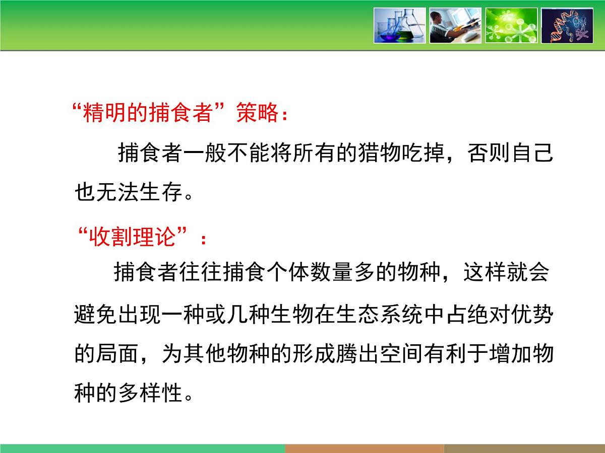 人教版 (新课标)高中生物必修2 第七章《现代生物进化理论的主要内容》第3课时课件第8页