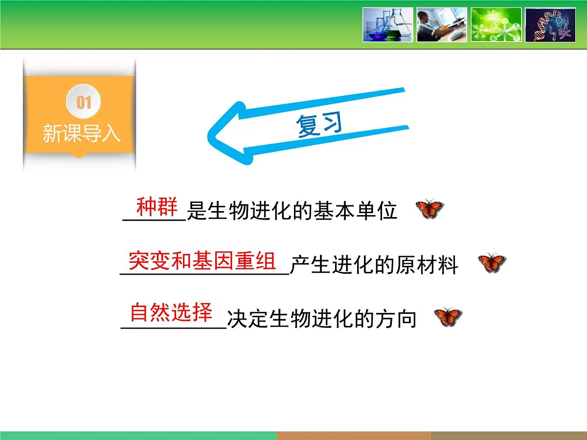 人教版 (新课标)高中生物必修2 第七章《现代生物进化理论的主要内容》第2课时课件第3页