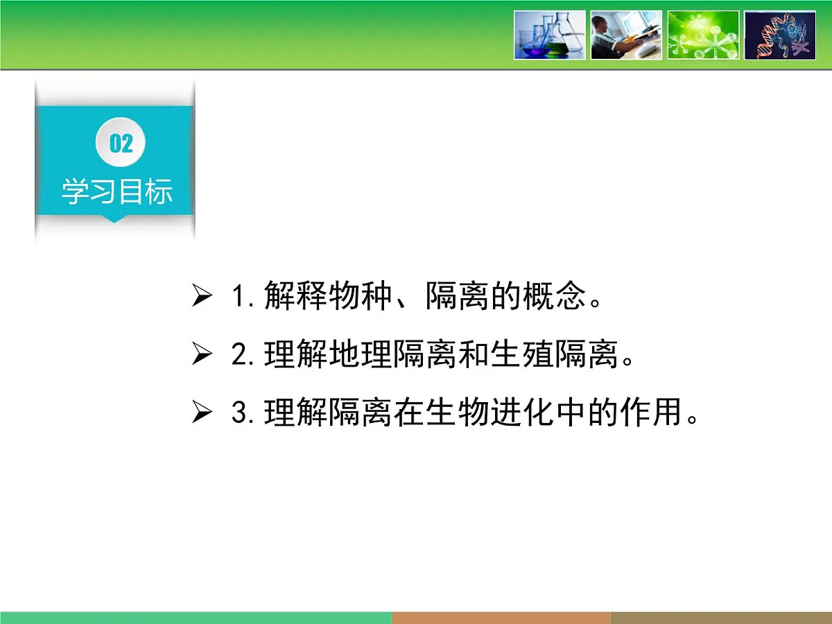 人教版 (新课标)高中生物必修2 第七章《现代生物进化理论的主要内容》第2课时课件第4页