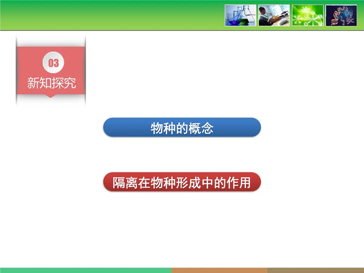 人教版 (新课标)高中生物必修2 第七章《现代生物进化理论的主要内容》第2课时课件第5页