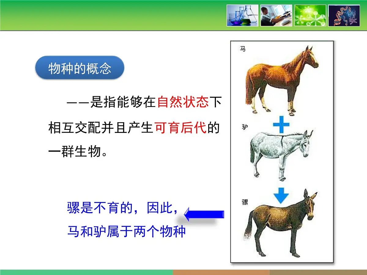 人教版 (新课标)高中生物必修2 第七章《现代生物进化理论的主要内容》第2课时课件第6页