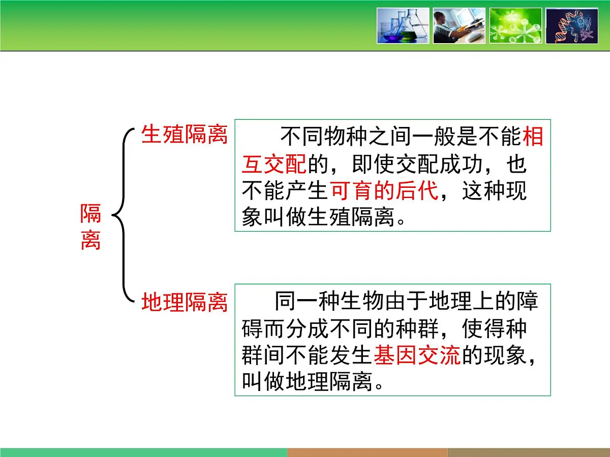 人教版 (新课标)高中生物必修2 第七章《现代生物进化理论的主要内容》第2课时课件第7页