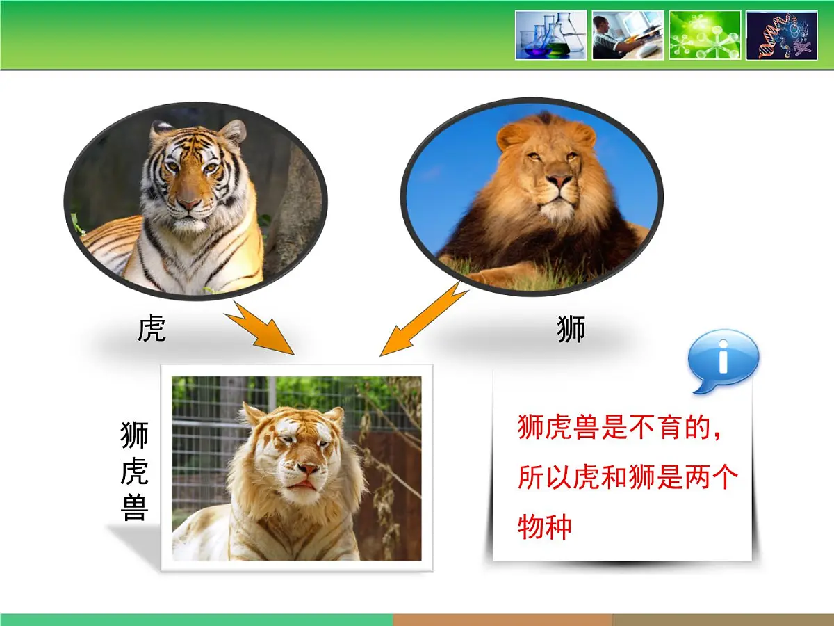 人教版 (新课标)高中生物必修2 第七章《现代生物进化理论的主要内容》第2课时课件第8页