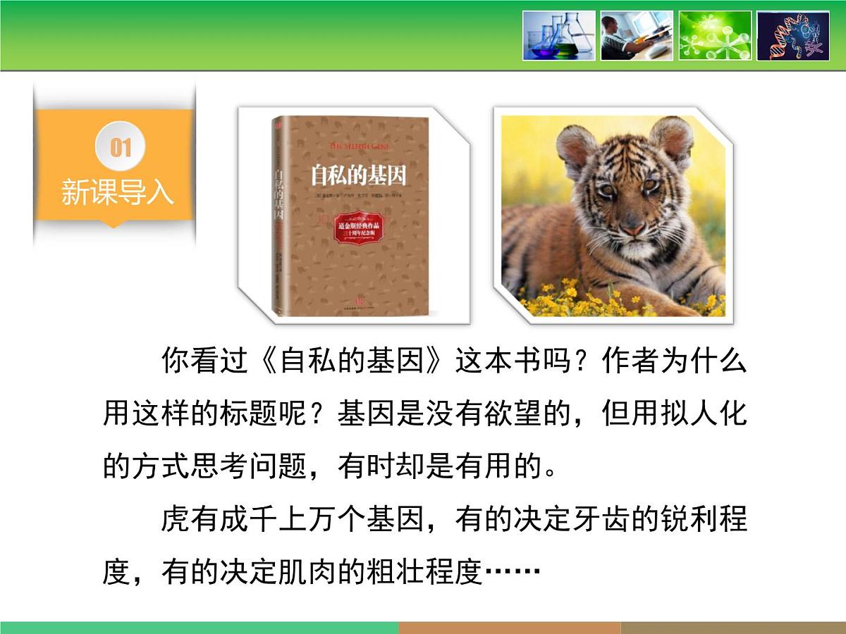 人教版 (新课标)高中生物必修2 第七章《现代生物进化理论的主要内容》第1课时课件第3页