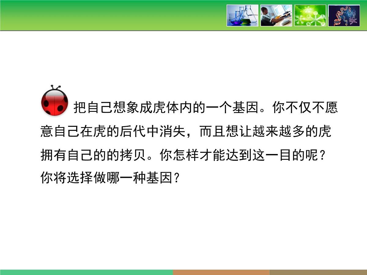 人教版 (新课标)高中生物必修2 第七章《现代生物进化理论的主要内容》第1课时课件第4页