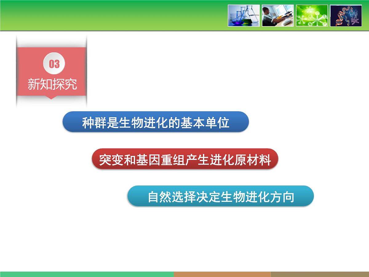 人教版 (新课标)高中生物必修2 第七章《现代生物进化理论的主要内容》第1课时课件第6页