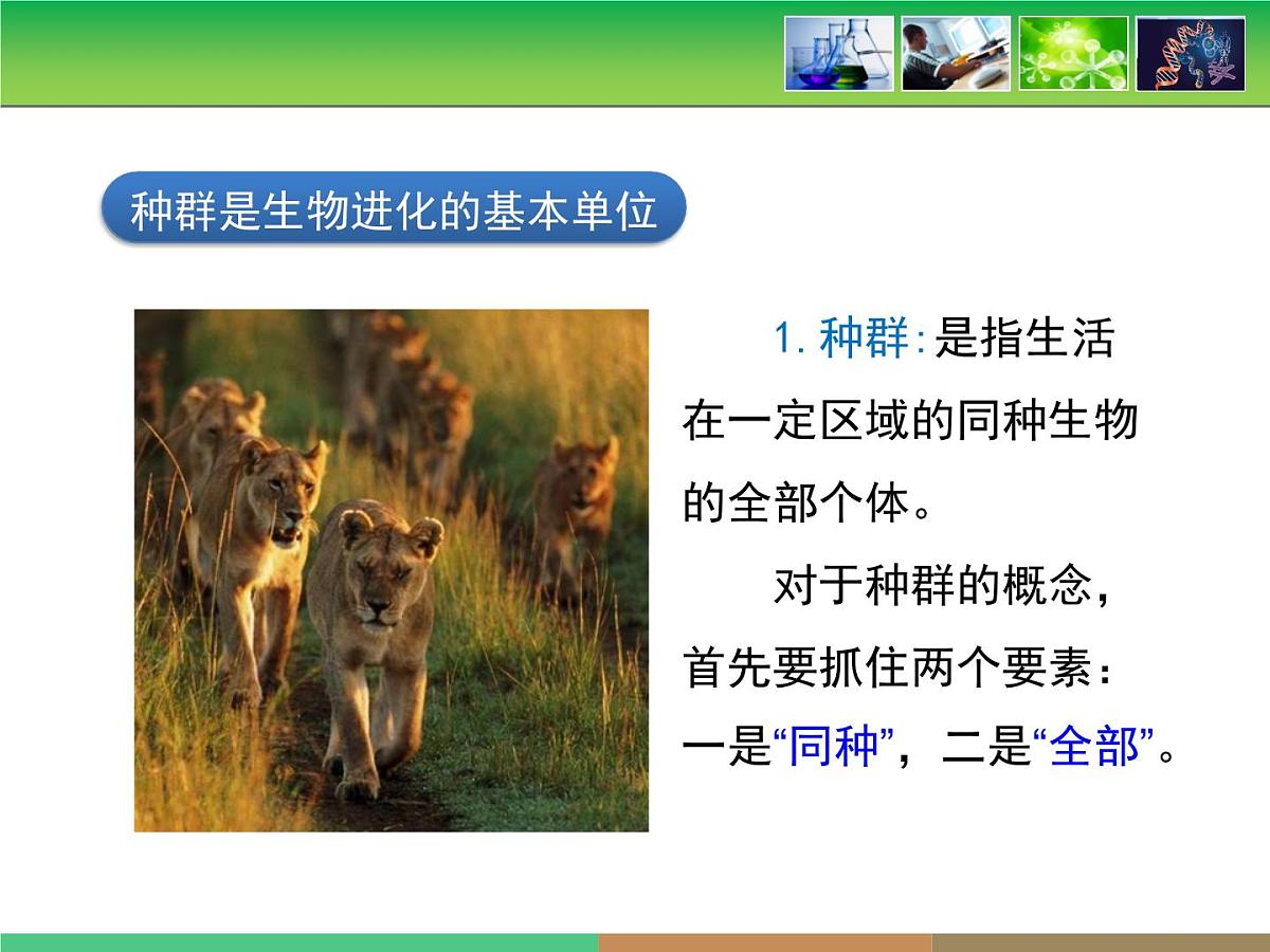 人教版 (新课标)高中生物必修2 第七章《现代生物进化理论的主要内容》第1课时课件第8页