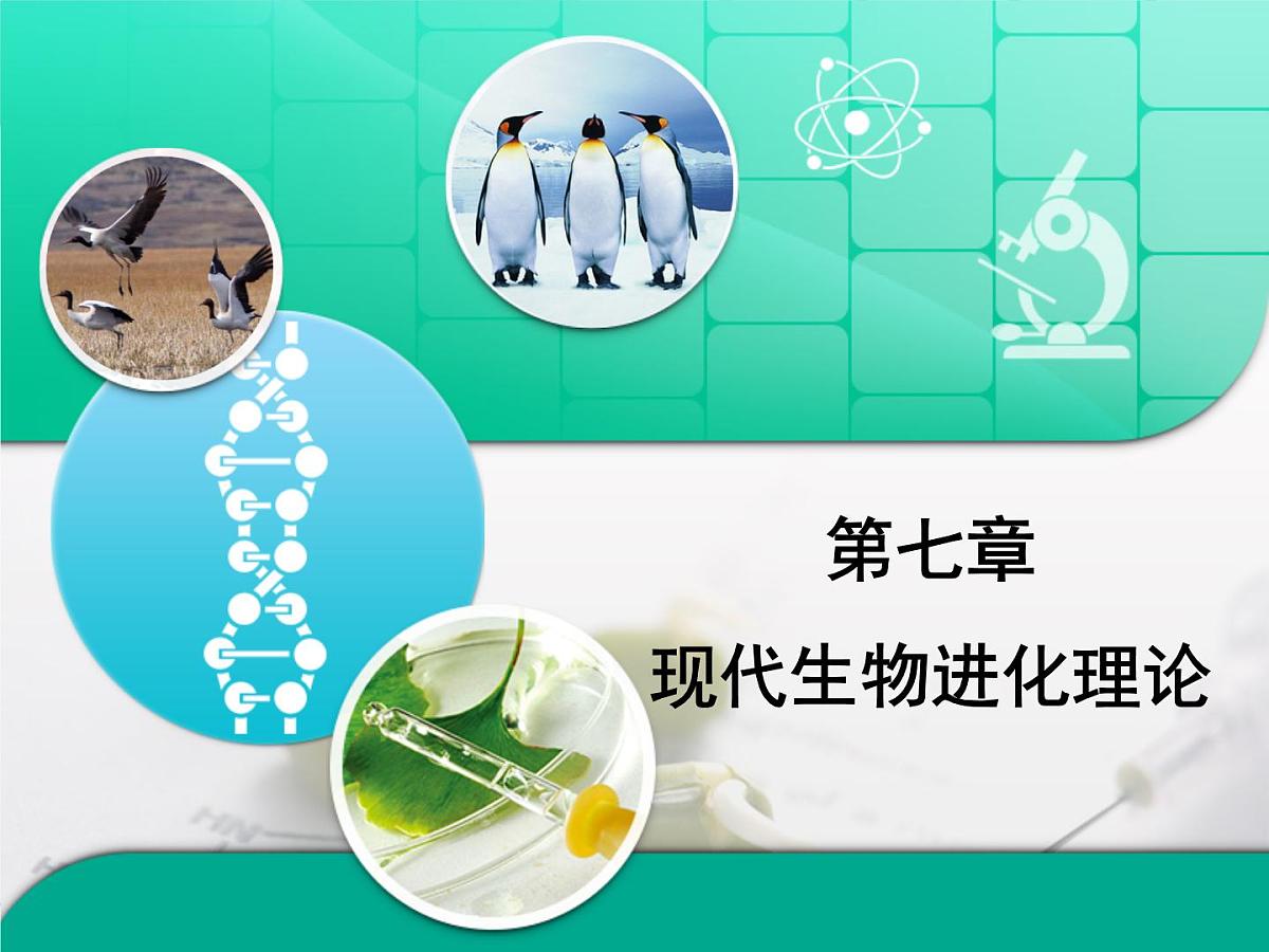 人教版 (新课标)高中生物必修2 第七章《现代生物进化理论》复习课件第1页