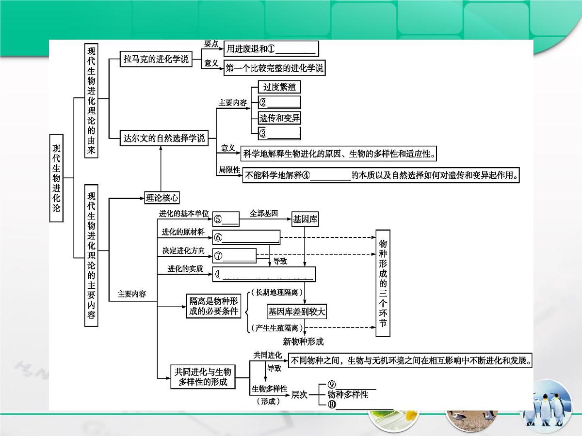 人教版 (新课标)高中生物必修2 第七章《现代生物进化理论》复习课件第2页