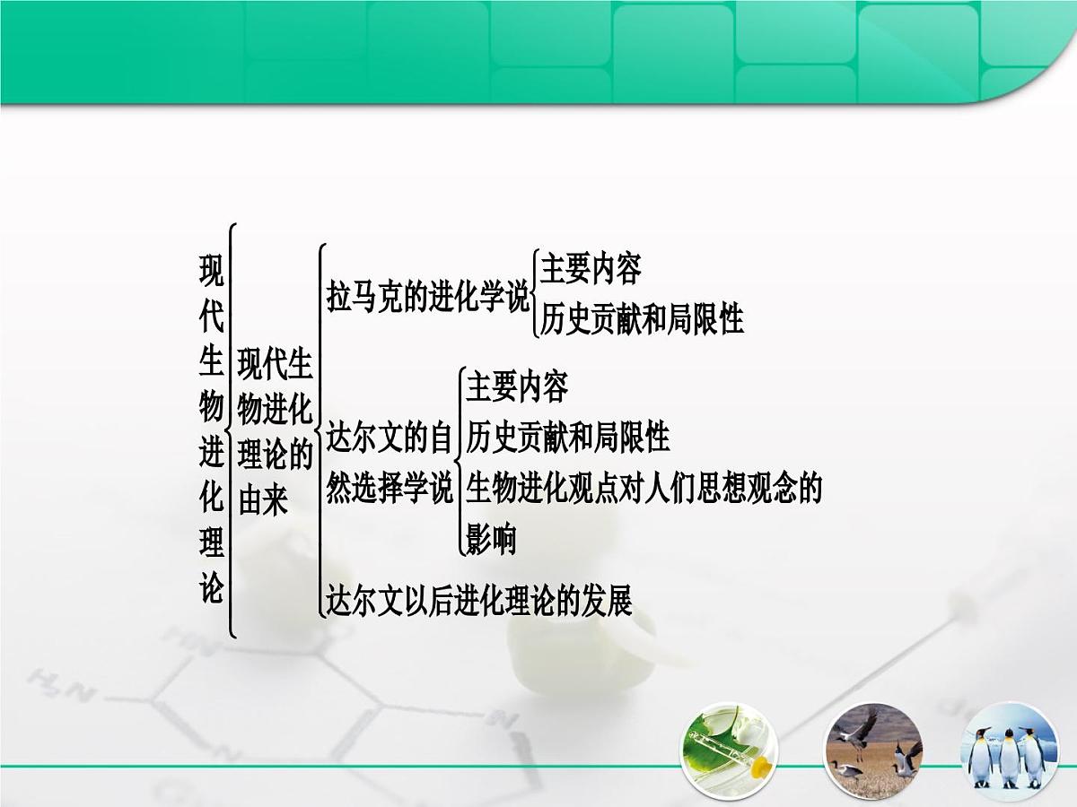 人教版 (新课标)高中生物必修2 第七章《现代生物进化理论》复习课件第3页
