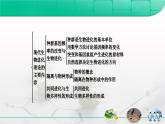 人教版 (新課標(biāo))高中生物必修2 第七章《現(xiàn)代生物進(jìn)化理論》復(fù)習(xí)課件