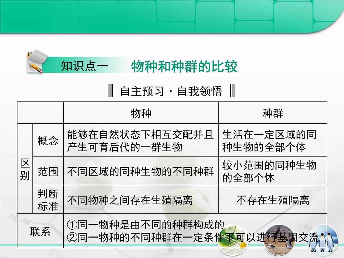 人教版 (新课标)高中生物必修2 第七章《现代生物进化理论》复习课件第5页