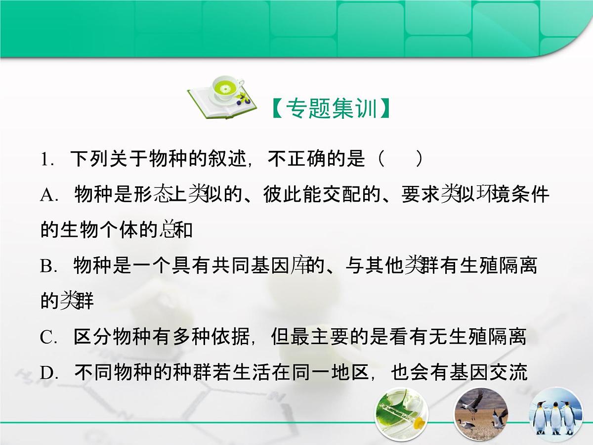 人教版 (新课标)高中生物必修2 第七章《现代生物进化理论》复习课件第6页