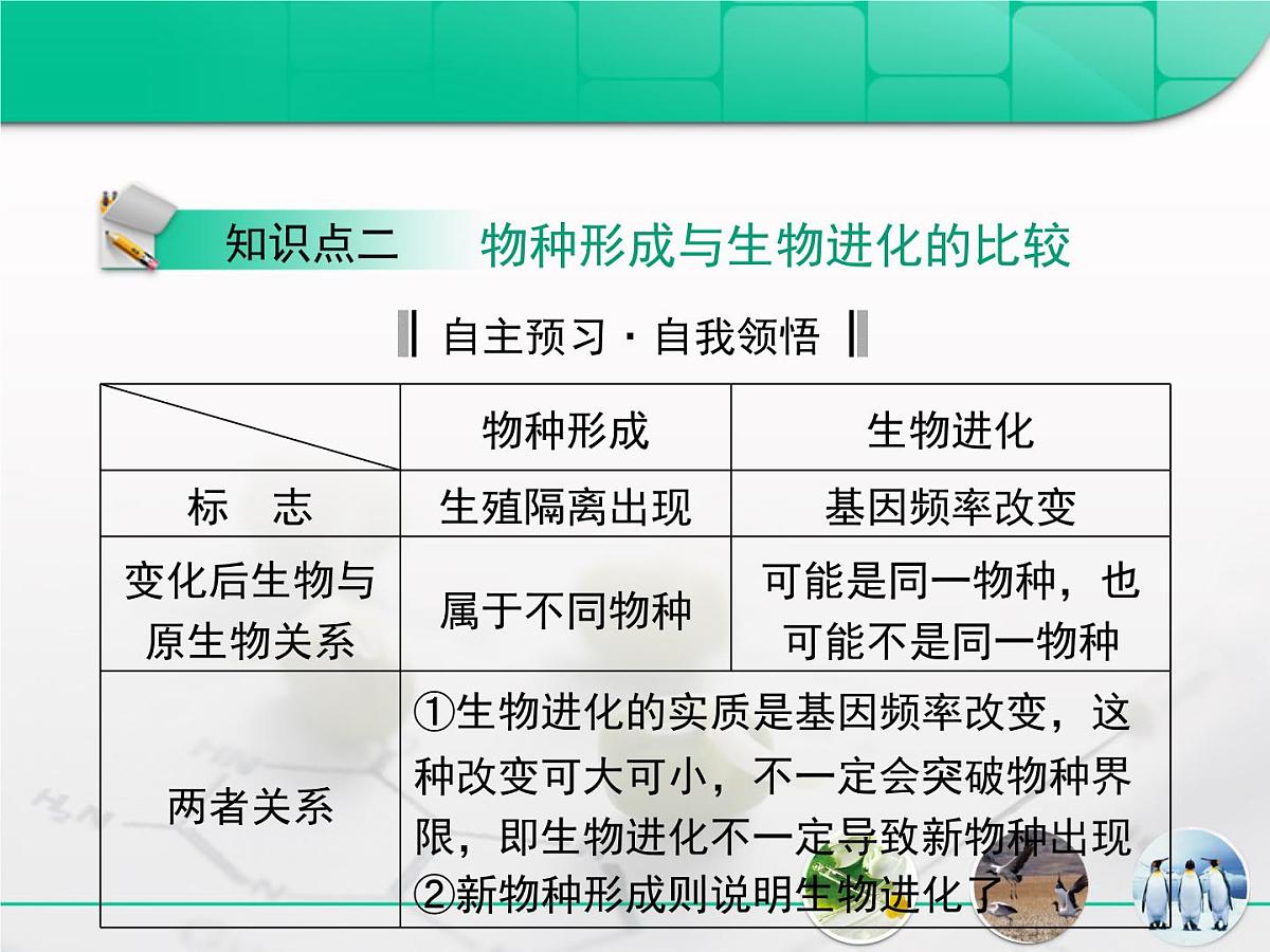 人教版 (新课标)高中生物必修2 第七章《现代生物进化理论》复习课件第8页