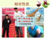 人教版 (新課標(biāo))高中生物 必修2 1-1《孟德爾的豌豆雜交實(shí)驗(yàn)（一）》課件